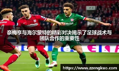 竞技宝平台官网入口